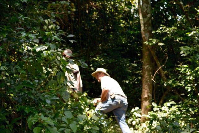 15027758_10207581247705133_5412939402680783253_n