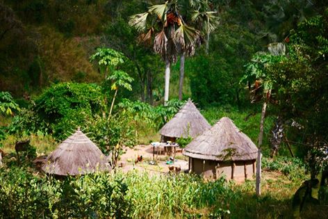 15318015_10207770534157176_8301328166802481580_n