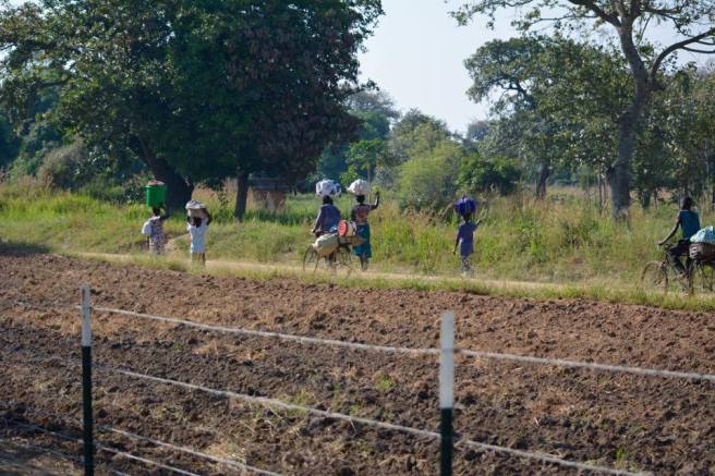 15423621_10207758680460841_117004140_n