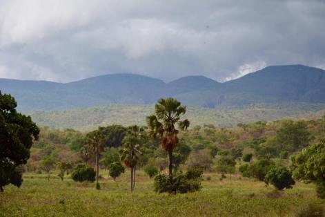 17554026_10208614161487332_7422164268242465816_n