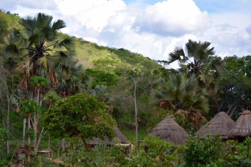 17626497_10208614141086822_5669385021035035775_n