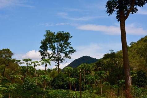 17626632_10208614057164724_3308042110658448592_n