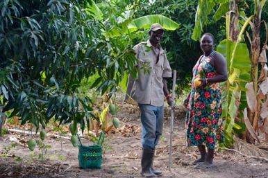 17883614_10208724185157855_2248700317131638350_n