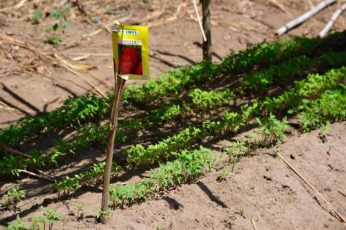 17884588_10208709826518898_4399590843766072506_n