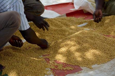 17952441_10208741673355049_5908582395727874974_n