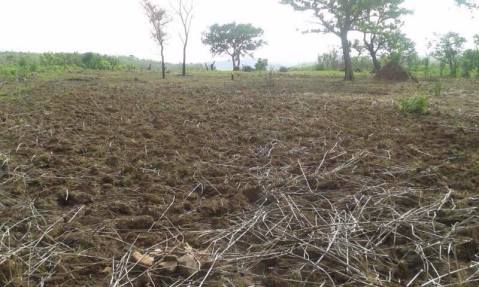 18136627_10208816613188498_883386124_n