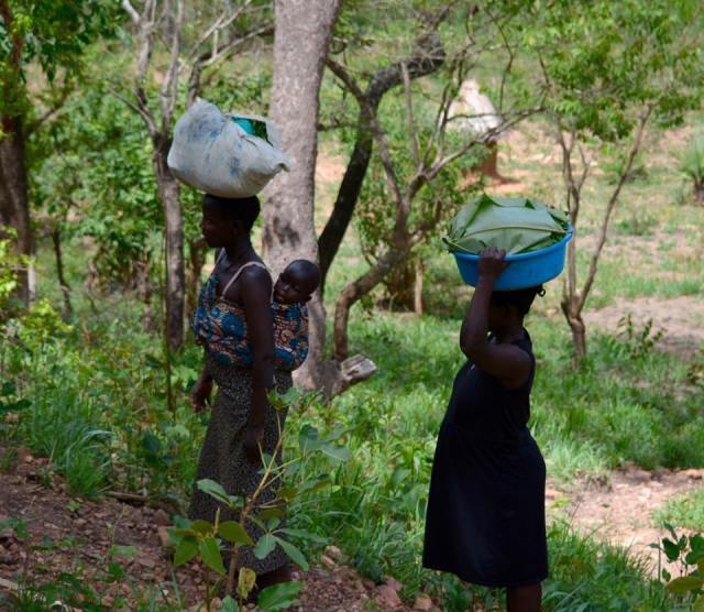 17457899_10208614021443831_15588082780692761_n