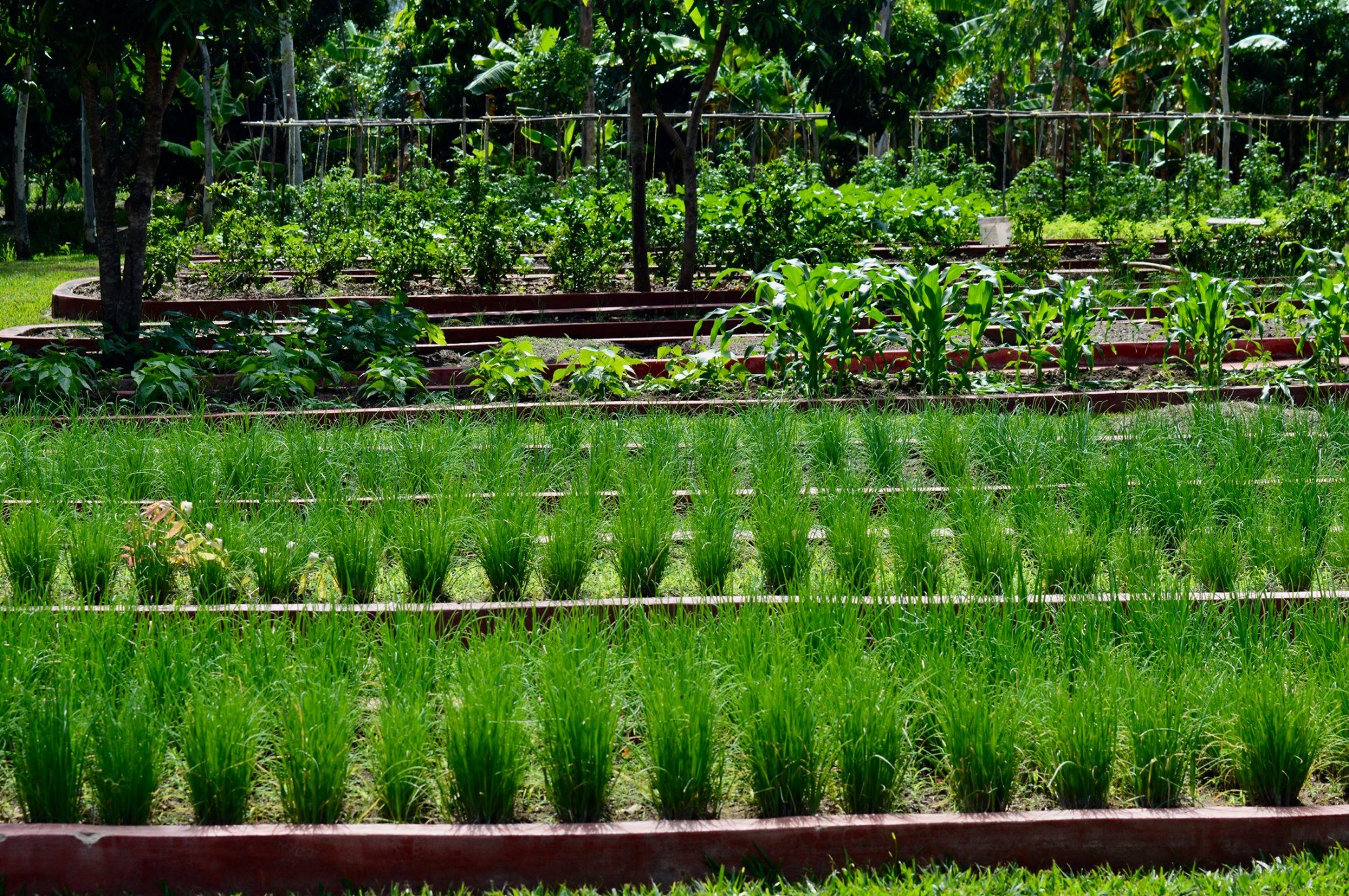 93878687_10157022393693053_6518717550153433088_o