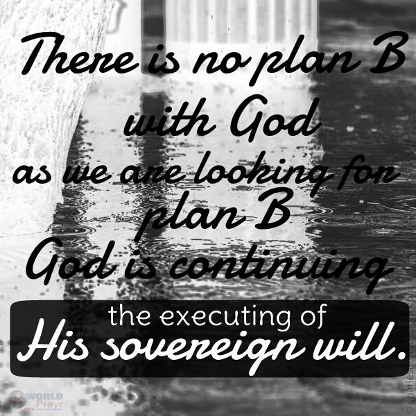 ccaf05c99fb50a1e16e29c9a25e0214c